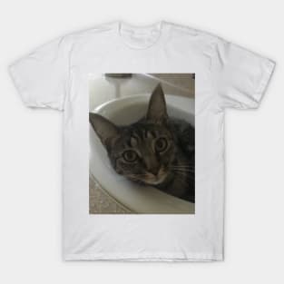 Sink Kitty T-Shirt